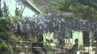 老于返鄉之旅-環山部落