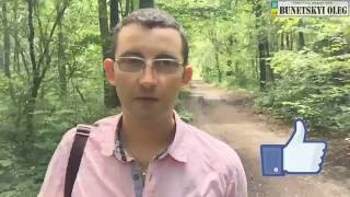 Инвестор или сетевик? Две категории успеха