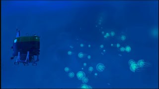Advancing Autonomous Mesophotic Exploration with Mesobot! | Nautilus Live