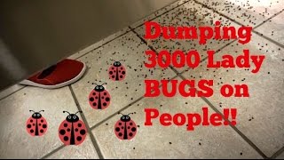 Dumping THOUSANDS of BUGS on Sh*ting People! (BATHROOM PRANK)