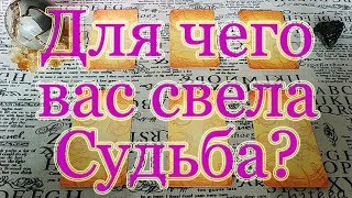 Для чего вы встретились? Зачем свела Судьба? Общий расклад.