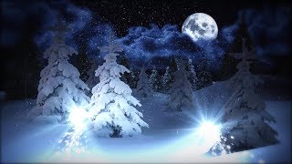 ВОТ ОНА! САМАЯ ЗАСНЕЖЕННАЯ ПРАЗДНИЧНАЯ ЕЛОЧКА В ЛЕСУ 2020 HD футаж THE MOST CHRISTMAS HOLIDAY TREE