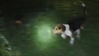 2831