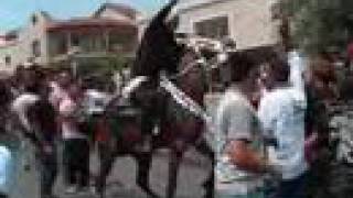 مسيرة نادي الحصان العربي شفاعمرو 2008  VideO CliP
