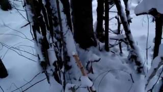 Trapping season 2016-2017 Trap check #9