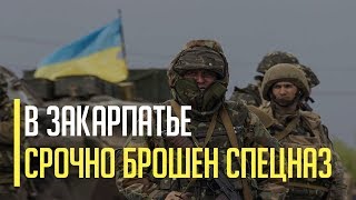 Срочно! В Закарпатье экстренно перебросили силы спецназа, вертолет и другую технику. Что известно?