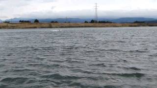 タービンエンジン ラジコンボート BJ55 JetCat Turbine SPM5
