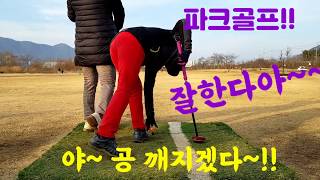 파크골프 치는법!! 필드 샷 모음!!??#パークゴルフ打ち方!!#Park golf