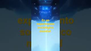 Es un experimento sociológico mundial