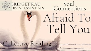 Afraid To Tell You.. Soul Connections Reading