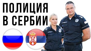 СРАВНЕНИЕ: ПОЛИЦИЯ В СЕРБИИ И ПОЛИЦИЯ В РОССИИ. СЕРБИЯ ОТЗЫВЫ РУССКИХ.