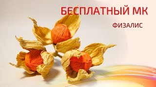Бесплатный мастер-класс "Физалис", свит-дизайн. Мастер Наталья Дроздова.