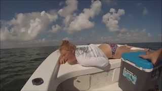 Redfish Day and dolphin entertainment!!