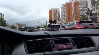 Авто Обзор Анти-радара SHO-ME STR-545 против СТРЕЛКА/СТ