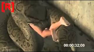 Snake eats hot girl