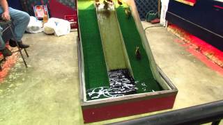duck slide