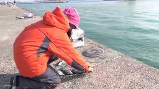 ｼﾘｰｽﾞ浜名湖40　3月の新居堤防 クロダイ
