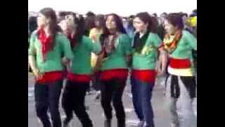 Dîlana keçên Amedî - www.nukurd.com