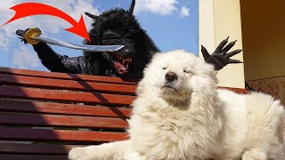 WEREWOLF Attack with a homemade KATANA