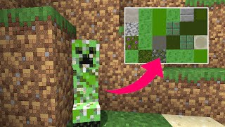 マイクラなのに 世界が極小ブロックでできてる!?【赤髪のとも】