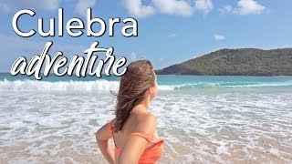 Paradise in Puerto Rico! | adventure 2.3