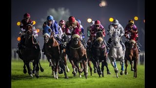25th Race Meeting of Season 2018/2019