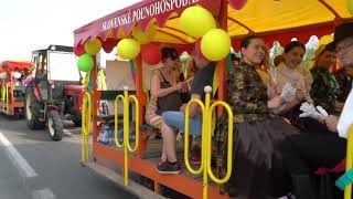 Karneval v Riu po slovensky - alegorický sprievod mestom
