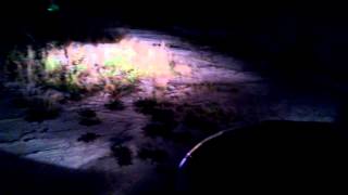 Ночной обзор Шкоды Октавия А7, часть 2 внутри снаружи