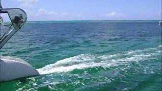 Destino: Punta Cana - Passeio à Ilha Saona - La Palmilla