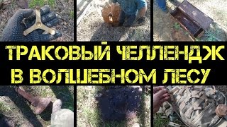 Глубокий коп без лопаты 2016 - Как Мистер Макс попал в дисбат