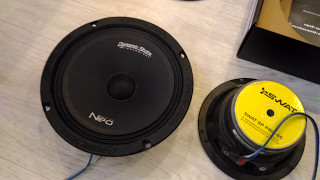 Dynamic State NM-20.1 NEO