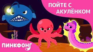 Опасные морские друзья | Пойте с Акулёнком | Пинкфонг Песни для Детей