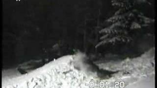crash with stiga snow racer