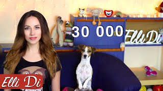 100 ОТВЕТОВ НА ВАШИ ВОПРОСЫ | Прямой эфир 30 000 | Elli Di Собаки