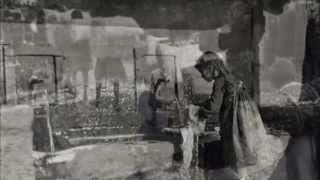 Φλοάρα γκαλμπινιοάρα (Μέτσοβο) - Βλάχικα τραγούδια