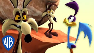 Looney Tunes in italiano ???????? | Willy il Coyote e il Masso 