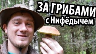 За грибами с Нифёдычем + Микро-сталк