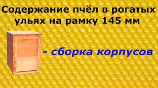 Сборка моих первых рогатых ульев на 145-ю рамку