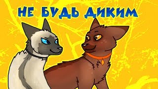 CatWar | Гайд | Как стать домашним
