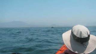 Kayak Fishing