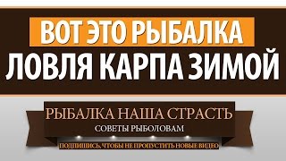 ВОТ это ЛОВЛЯ КАРПА ЗИМОЙ