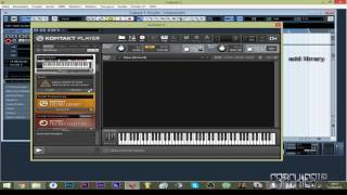 Shevannai Voices of the Elves kontakt 5 library CRACK! | Download : uploaded | Mega.nz