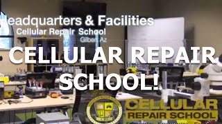 Cellular Repair School Training