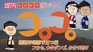 フカセorかかりorウキダンゴ、どの釣り方でチヌが釣れる？真夏の沖堤防でのチヌ狙い～堤防コロコロ隊が行く　前編