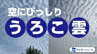 今朝は一面のうろこ雲　近畿や北陸の空に出現