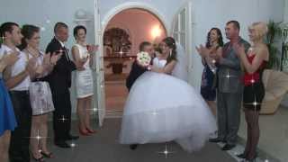 Tel +373-79-73-59-18 NUNTA CHISINAU