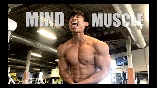 How To Apply MIND-MUSCLE Connectiond/INSTAGRAM STORIES Compilation