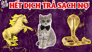 GIỚI TIÊN TRI RÙNG MÌNH, 3 CON GIÁP ĐANG NGHÈO MẠT KIẾP, BẤT NGỜ ĐƯỢC LỘC, HẾT DỊCH TRẢ SẠCH NỢ NẦN