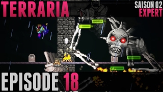 Terraria Expert - #18 - Skeletron Prime