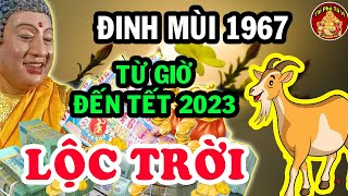 Giới Tiên Tri Tiết Lộ Đinh Mùi 1967 Giáp Tết 2023 Gặp Thời Đổi Vận Tiền Tiêu 3 Đời Không Hết
